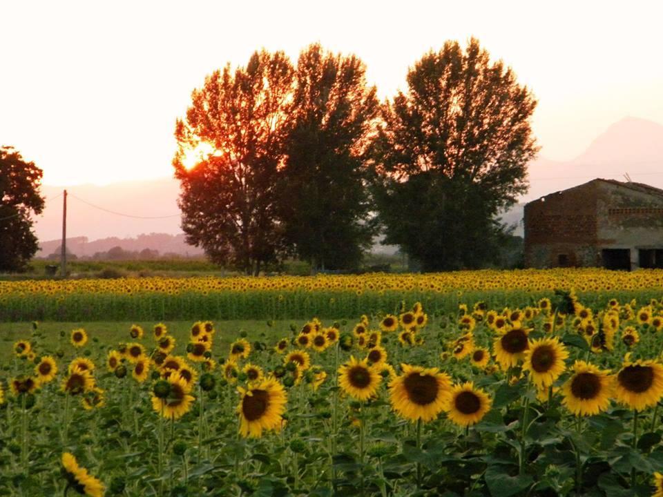 Agriturismo Settepassi Tuscany Ponte Buggianese Экстерьер фото